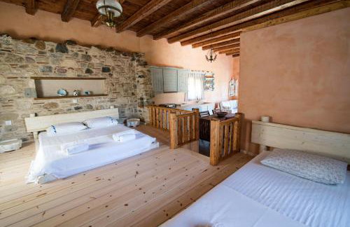 Chaihoutes stone House and Villa into Olive farm in Zia - Photo 58