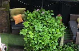 Matilde House - Foto 8