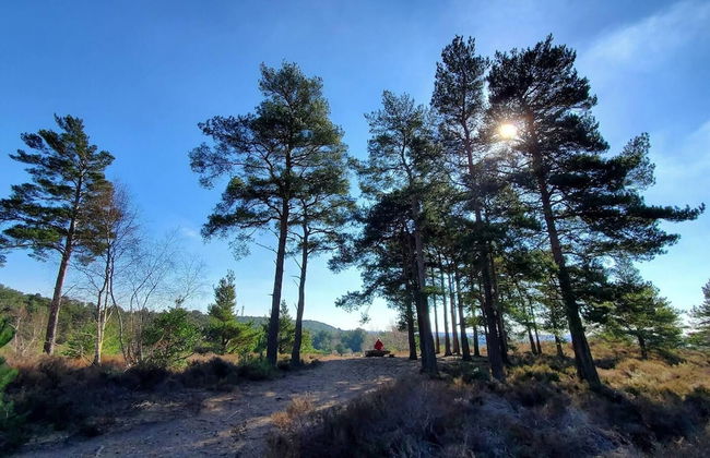 The Cedarwoods - Luxury Studio for 5! - Foto 29