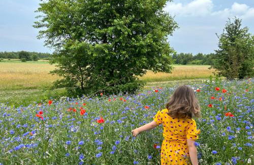 Masuria Warsaw Family - dom na wyłączność - w lesie i przy rzece - 15 min od Warszawy - idealny dla rodzin z dziećmi - Foto 15