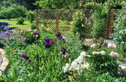 Villa Heimlicher Grund - Photo 30