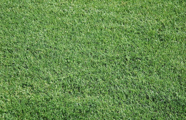 Cottage Faflik - Air Con And Own Sauna, Swedish House no 001 - Foto 59