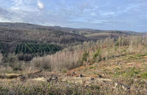 Gittas Paradiesperle - Foto 32