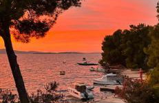 Perla & Palma - Foto 29