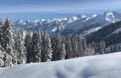 Vallée des Aravis, Appartement Lapreski, proche de La Clusaz - Foto 15