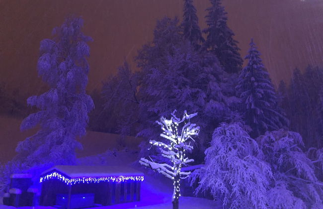 Le Moulin des Olirics - Foto 45