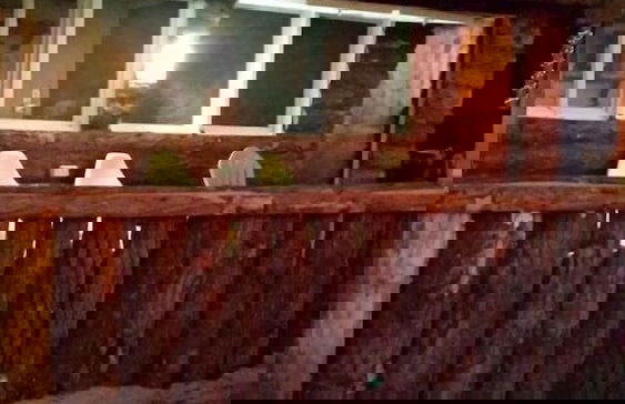 Teukava Beach Oasis - Foto 10