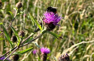 Pencastell Views Pod With Stunning Views - Foto 8