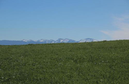 Alpentraum - Foto 25