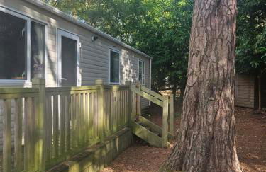 Fawn Lodge, Kelling Heath - Woodland Setting and Pets Welcome - Photo 10