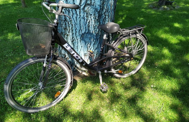 Sapanca Villa Natura Gol Evi - Foto 56