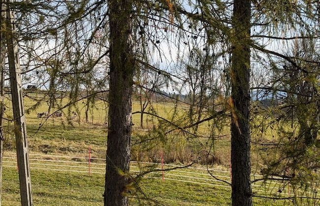 Korona Bieszczad Premium Apartments - Foto 52