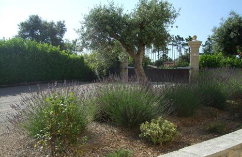 Villa Verdi - Foto 57