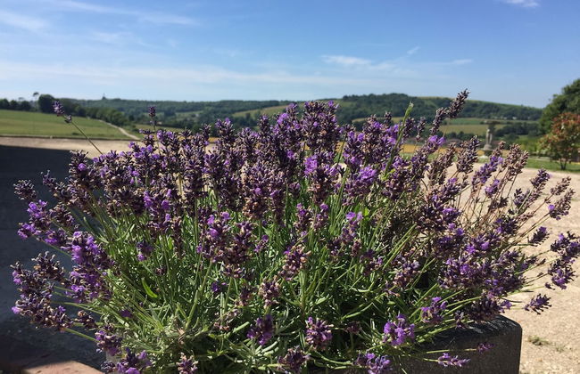 Gallops Farm Holiday Cottages - Foto 37