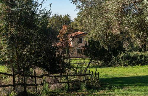 Casale della Spinosa - Foto 4