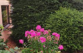 Ferienwohnung im Rottal - Foto 20