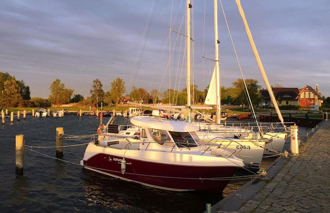 Ferienhaus Breetzer Boddentraum in Vieregge - Photo 16
