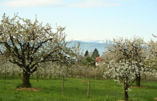Villa Linke am Bodensee - Photo 13