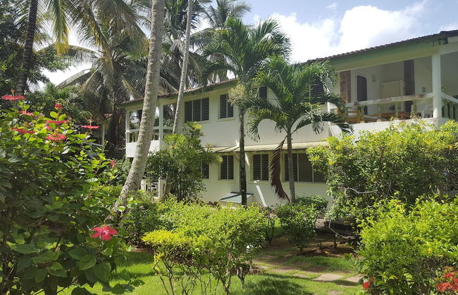 Oasis Hotel Las Terrenas - Foto 37