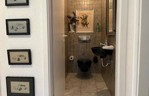 Excl Ferienwohnung im Dreiländereck D-F-CH mit beheiztem kl Pool zum Schwimmen und Massieren - Foto 49