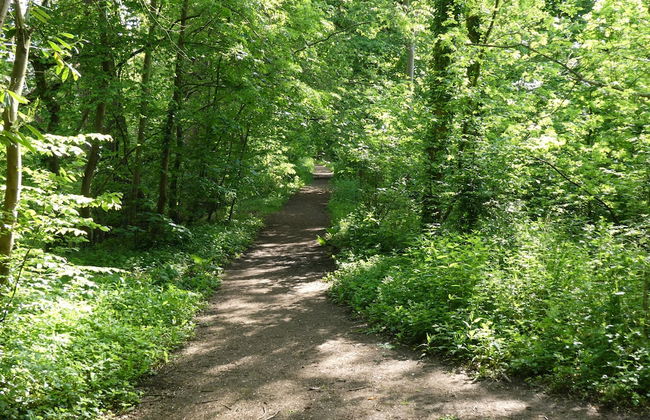 Fab 2 Bed Cotswolds Cottage With Private Courtyard - Foto 25
