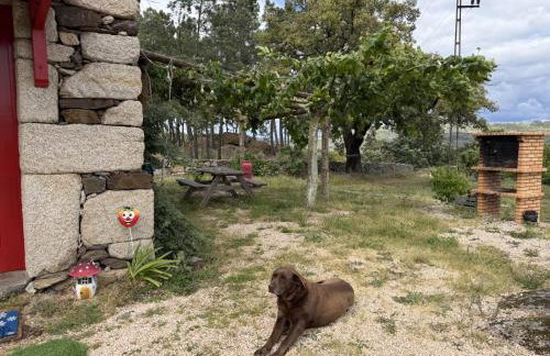 Quinta da Cabrida - Casa do Feitor - Douro - Foto 42