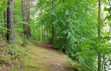 Domek Konrad - balia ogrodowa dodatkowo płatna - Foto 54