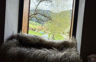 Historisches Schwarzwaldhaus - Foto 65