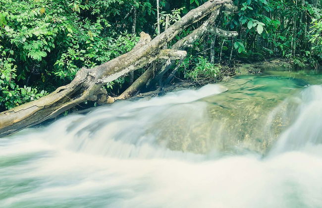 Estrela do Formoso Ticket - Foto 1