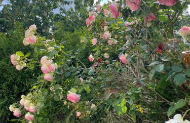 Maison Cosy à Chartres - Foto 18