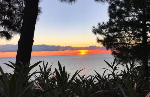 Villa Tarco, South Corsica, Sea View & Garden - Foto 18