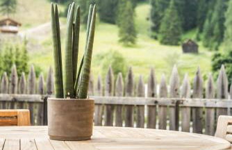 Appartamenti Residence Ada - Foto 33