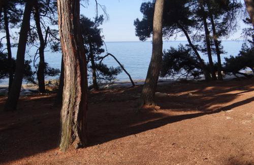 Adriatic Houses Borse - Foto 41