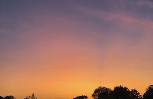 Contemporary detached house short train to London - Photo 22