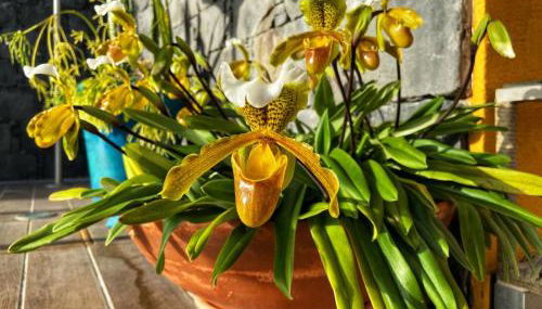 Zeza´s house - Photo 3