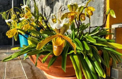 Zeza´s house - Photo 3