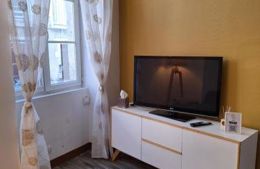 Bords de Loire hypercentre Orléans 2 personnes - Photo 2