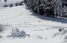 Le clos des anges - Foto 37