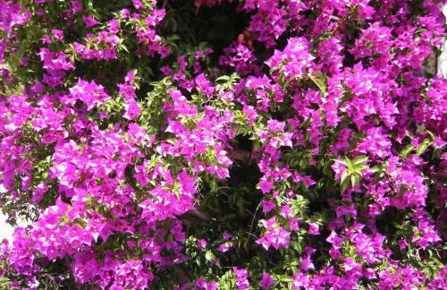 Appartement La Potinière - Foto 23