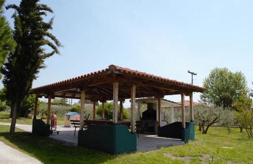 Olive mare Holidays - Foto 44