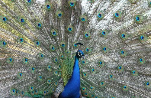 Gîte Le Logis de l'Etang de l'Aune - Foto 26