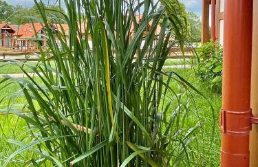 Kaszubska Odskocznia Ostoja Bukowo - Foto 25