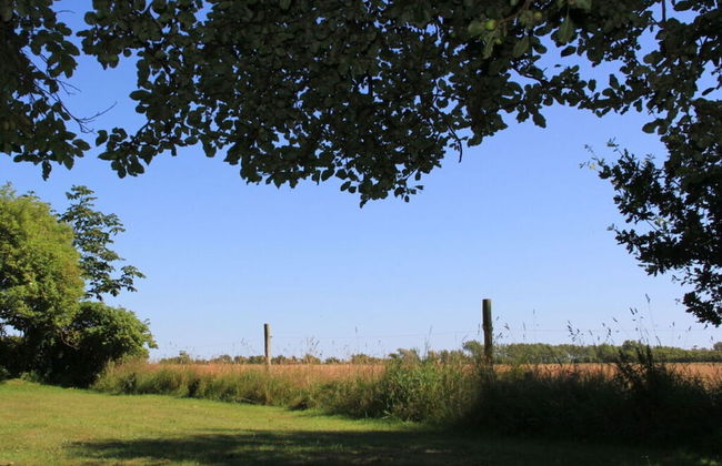 Westerheide Modern Retreat - Foto 15