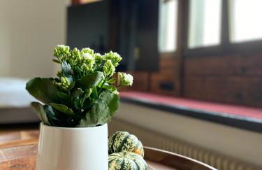 Apartmenthaus Eurenerstrasse 179 - Foto 76