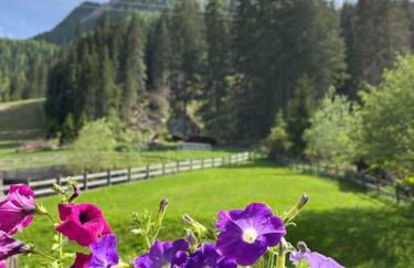 Sellaronda - Ciampac Experience - Foto 15