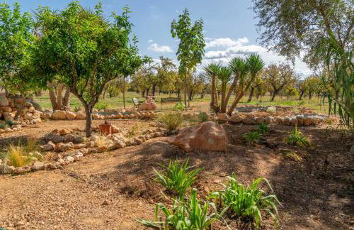 Sa Caseta -Ca n'Andreu- - Foto 92