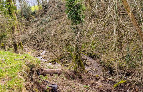 Ty Nofio - Uk36421 - Foto 15