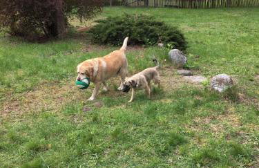 Siedlisko Nasza Chata - Foto 26