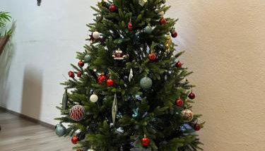 Oppiner Straße 14 Trotha - Foto 3