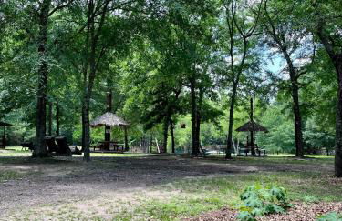 Casita with Swimming Pond & Sand Volleyball Access - Foto 13